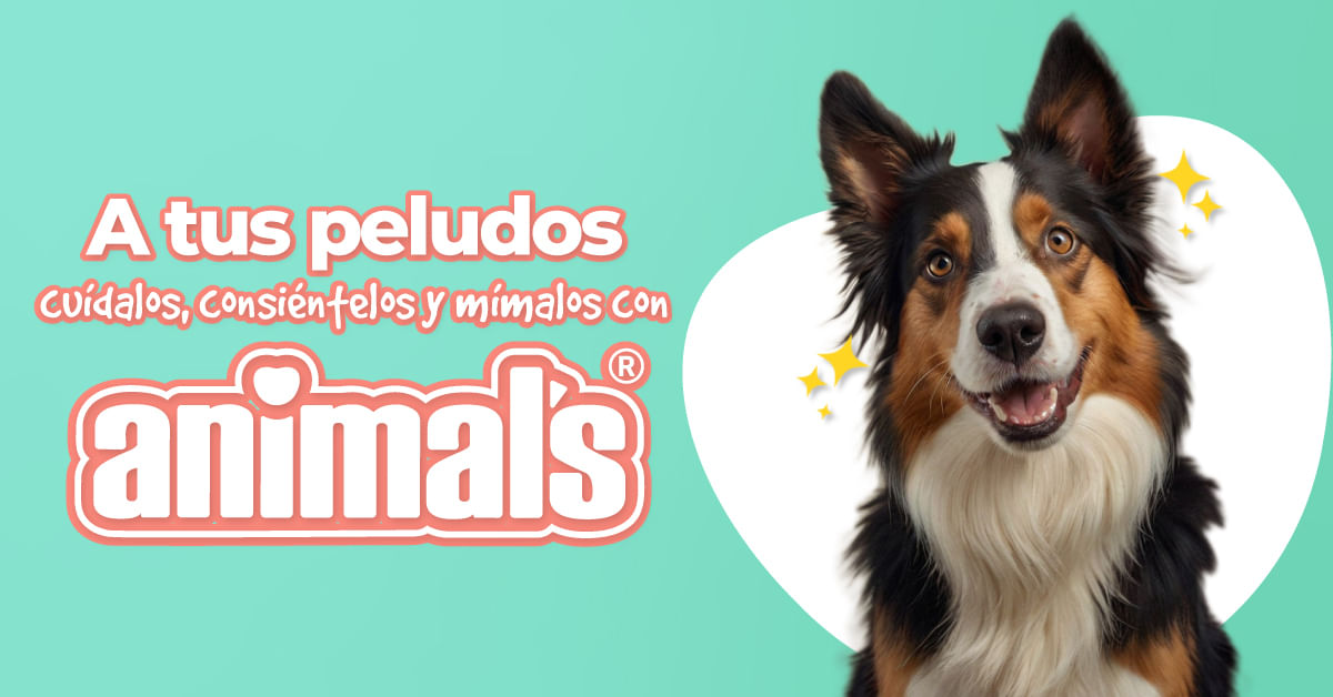 Veterinário Animalis Pet Shop Clínica Veterinaria: Over 89,211