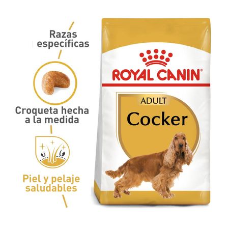 royal-canin-coker-ALIMENTO-PERRO-BOGOTA-DOMICILIO