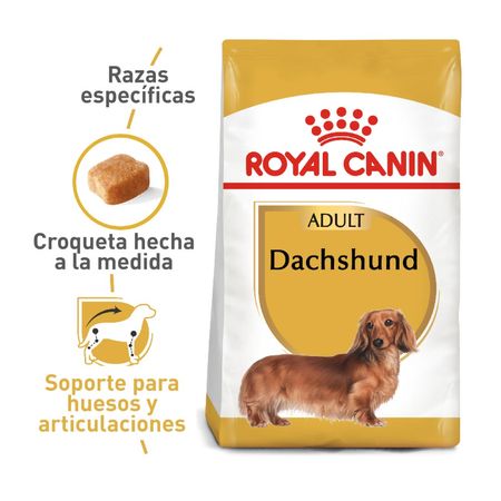 DACHSHUND-comida-para-perros