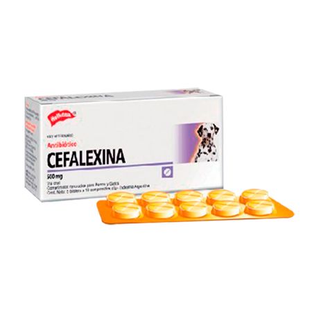 CEFALEXINA-500-MG-BLISTER-X-10-TB-veterinaria-domicilio-bogota