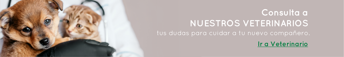Banner Veterinarios