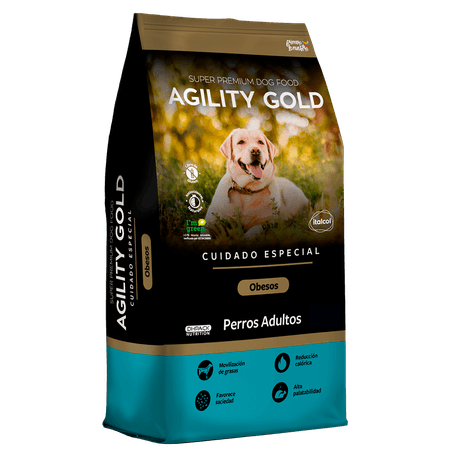 Agility-Gold-Perros-Obesos