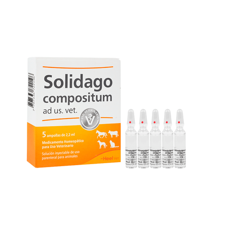 Solidago-compositum-ad-us-HELSOL002vet-Inyectable-